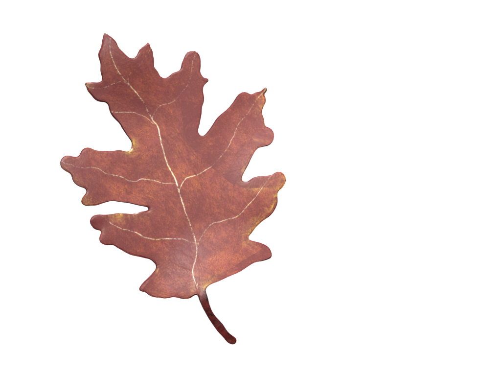 3D illustration of an oak leaf