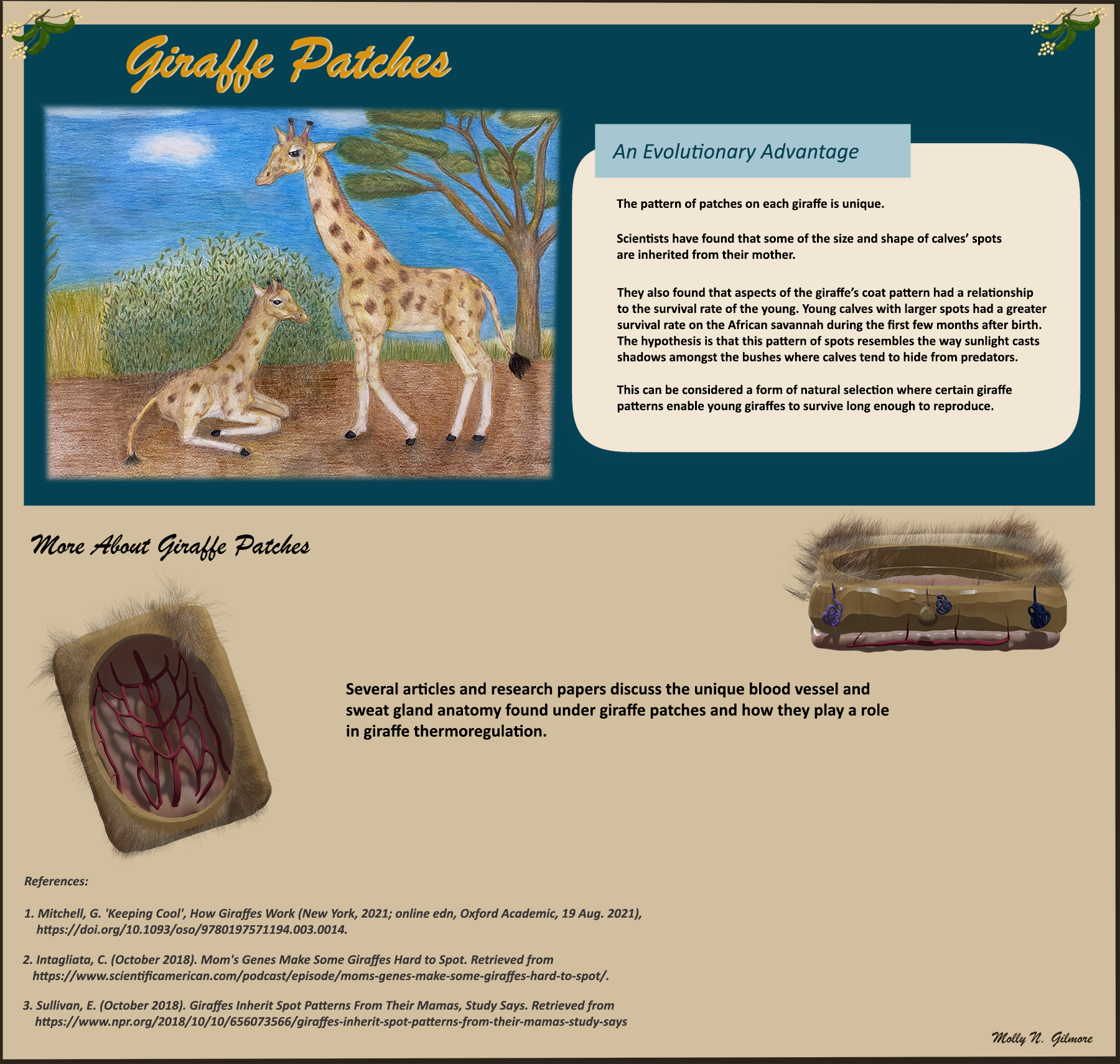 color pencil drawing and 3D models showing giraffes and their skin patches